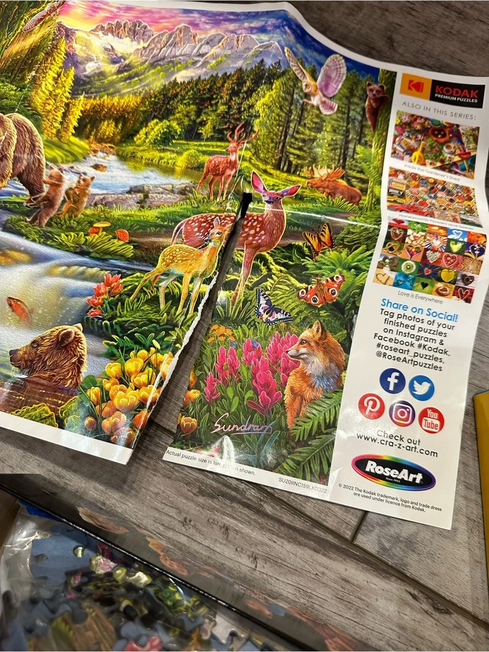 Kodak vibrant forest